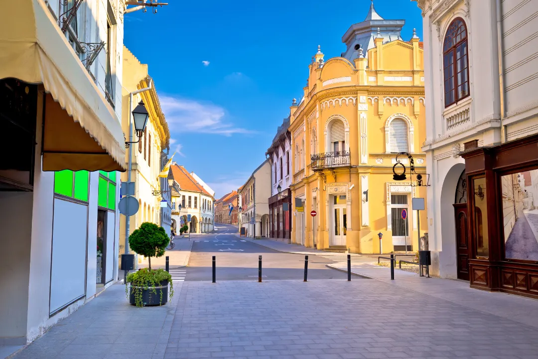 Guided tour of Vukovar with a guide